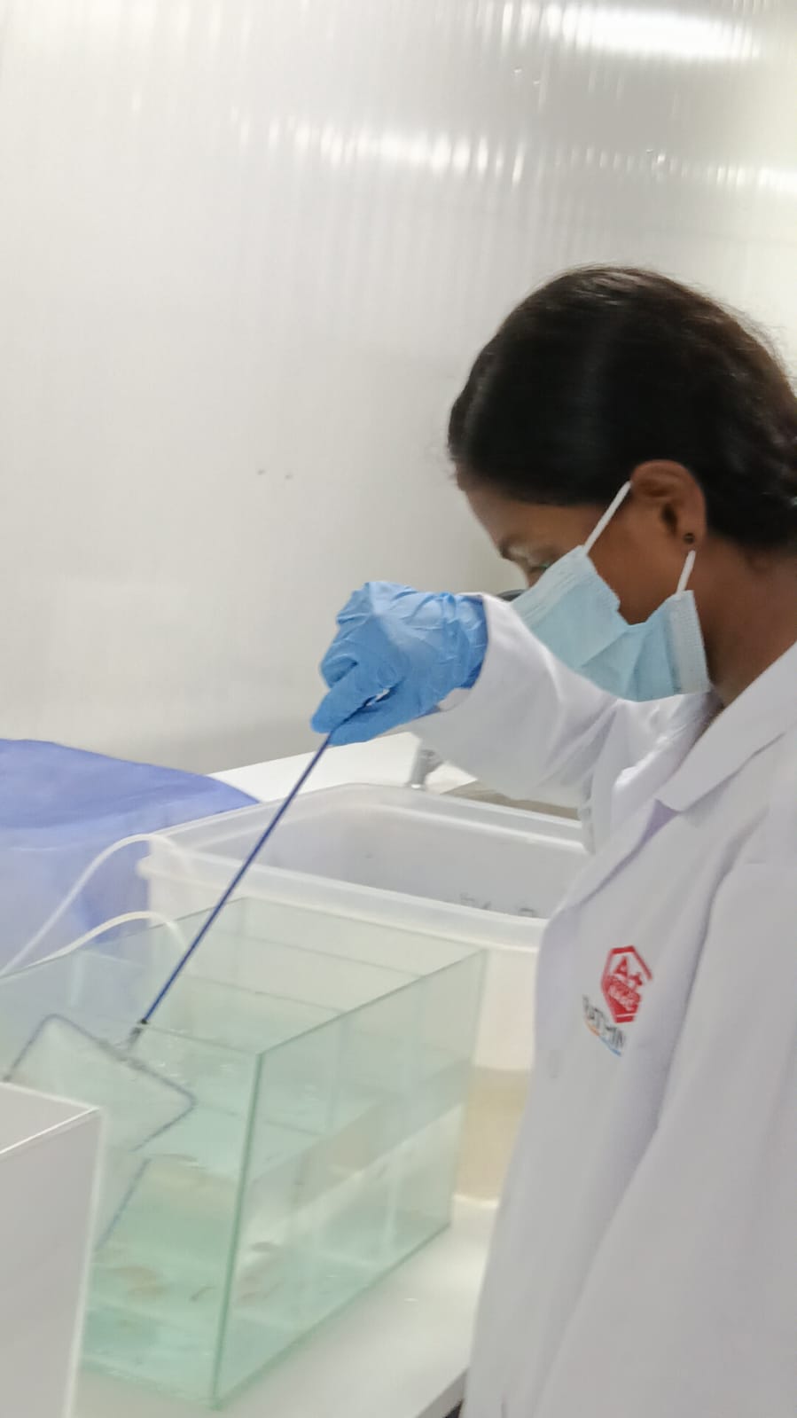 BioScholar research and learning photo 1